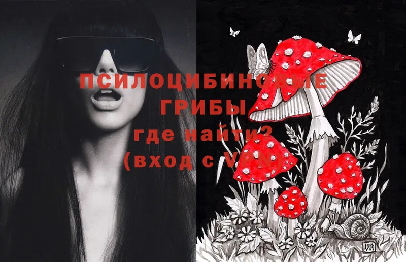 Галлюциногенные грибы Magic Shrooms  закладка  Верхняя Тура 